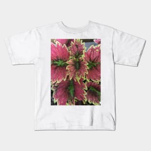 pink and red leaves Kids T-Shirt